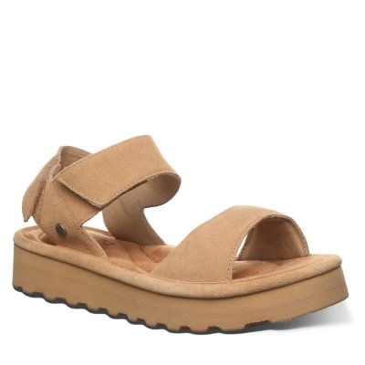 New Arrivals Bearpaw Women's Crest Iced Coffee