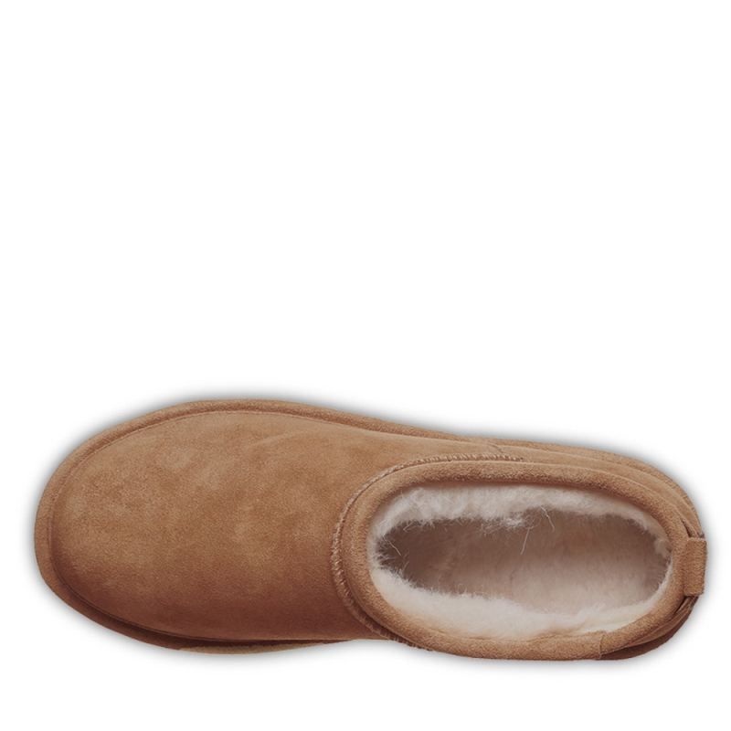 New Arrivals Bearpaw Women's Retro Super Shorty Hickory